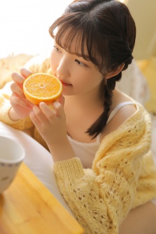 完美的妻子